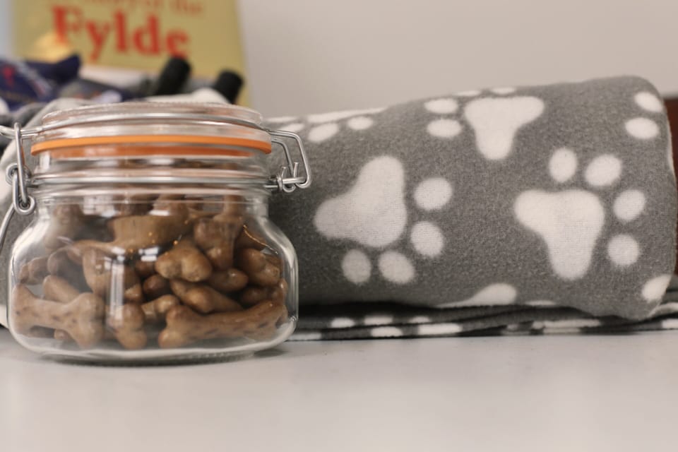 Treats, blankets and feeding bowls supplied
