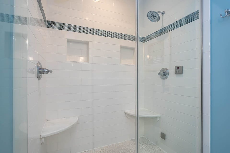 Master Bath Shower