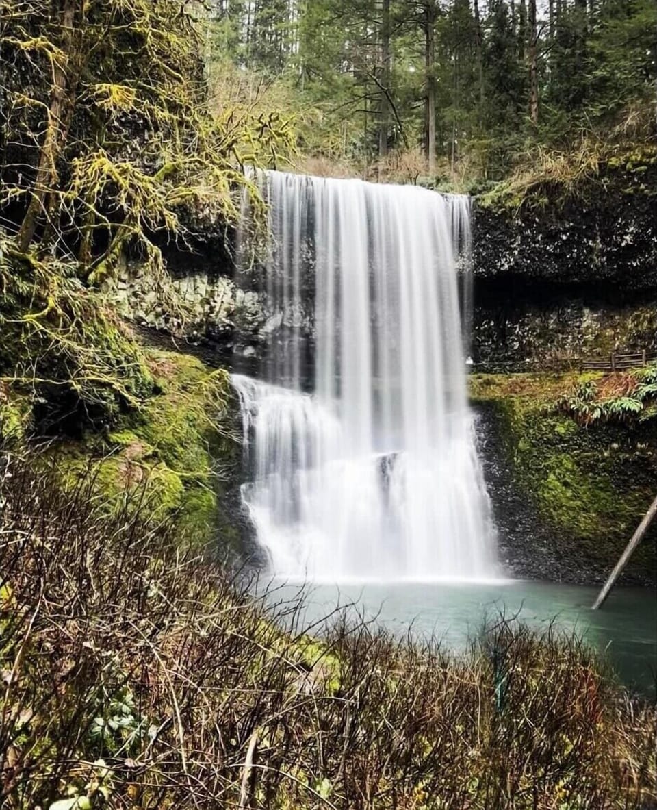 Silver Falls State Park- area attraction
