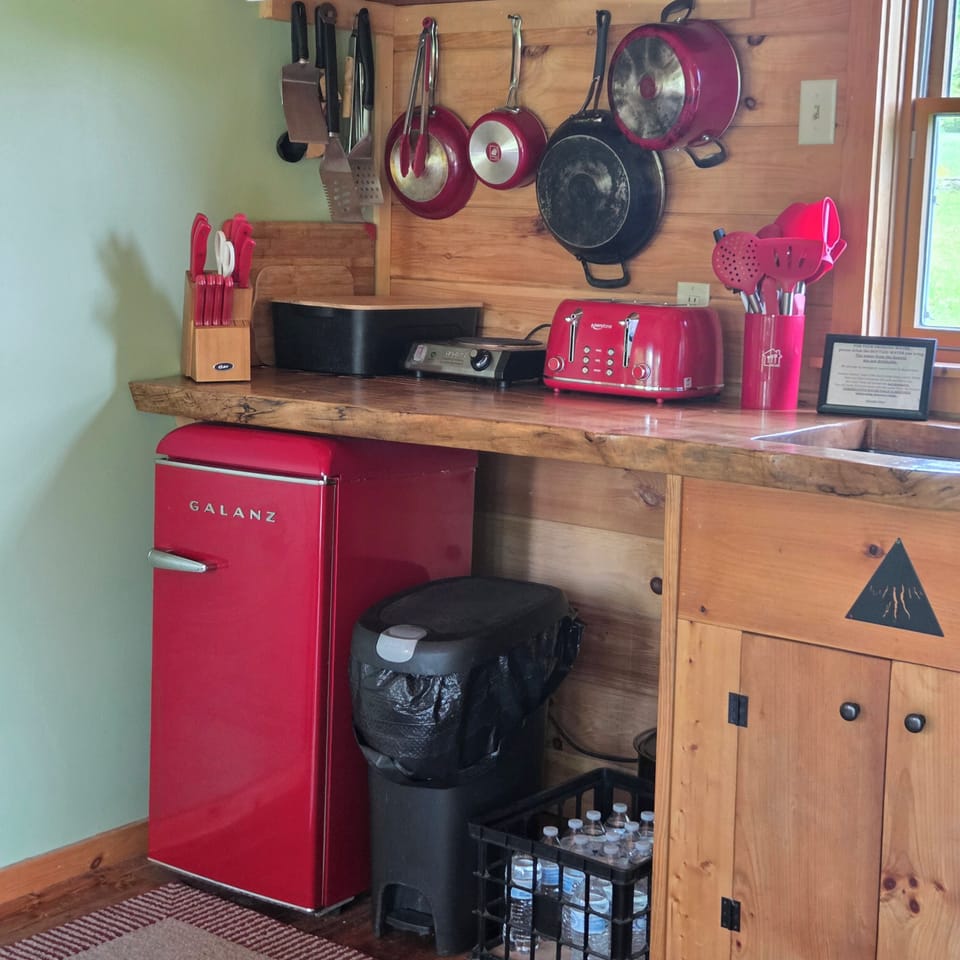 Efficiency kitchen with refrigerator, hot plate, toaster.