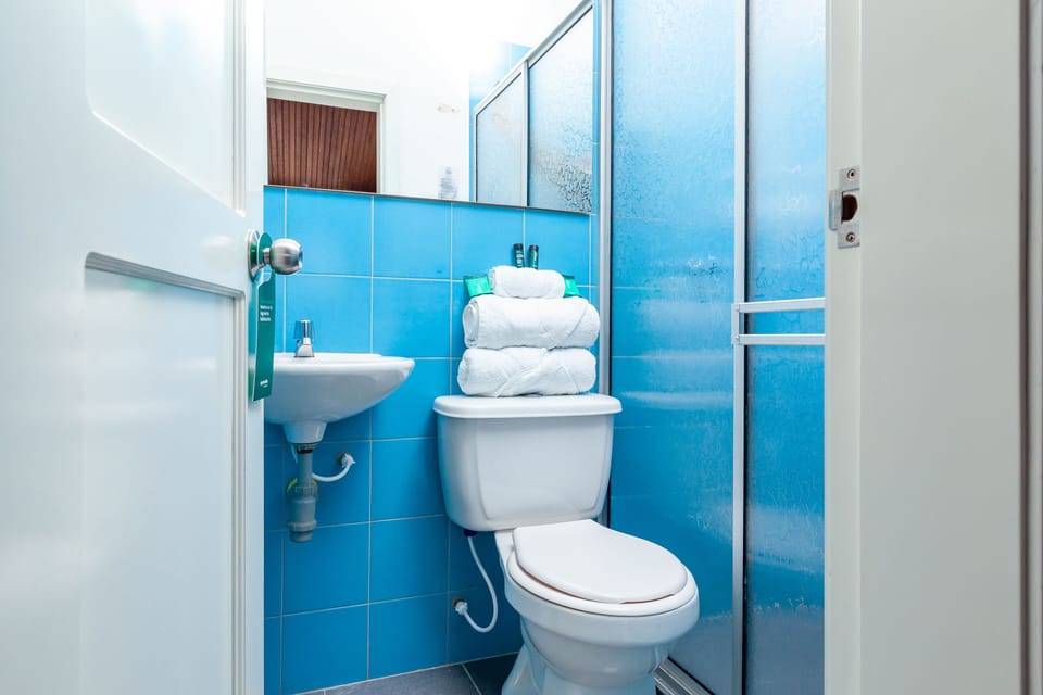 Double Room | Bathroom | Shower, free toiletries, towels, soap