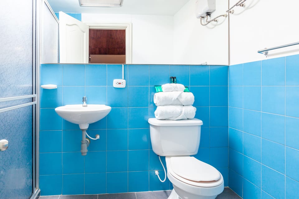 Twin Room | Bathroom | Shower, free toiletries, towels, soap