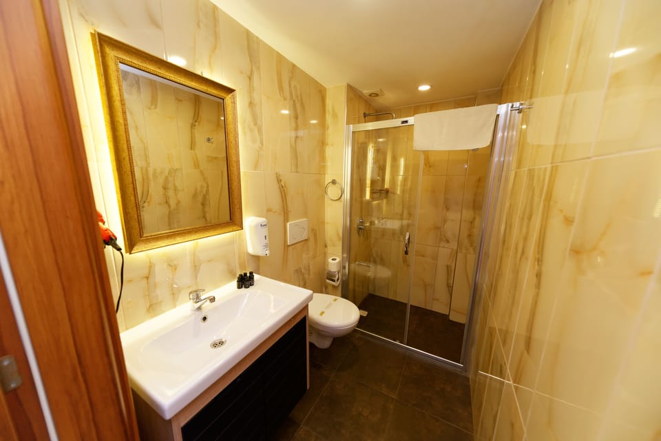 Deluxe Triple Room | Bathroom | Shower, rainfall showerhead, free toiletries, hair dryer