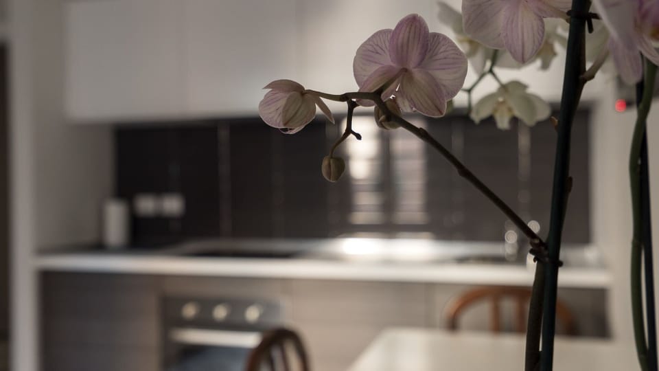 House | 1 bedroom, WiFi