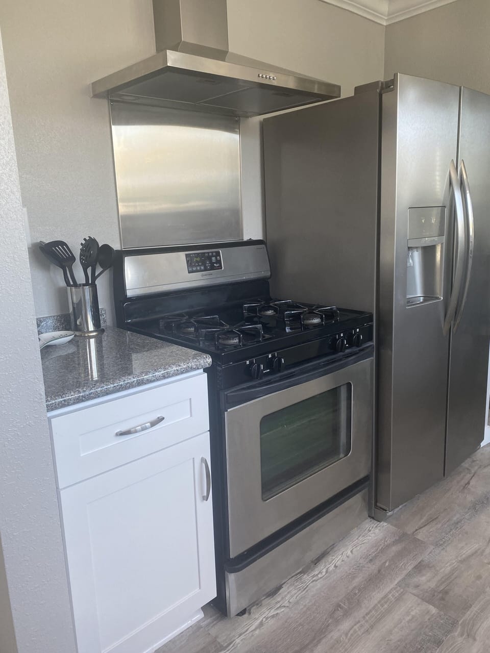 Gas stove and double fridge with ice/water in door
