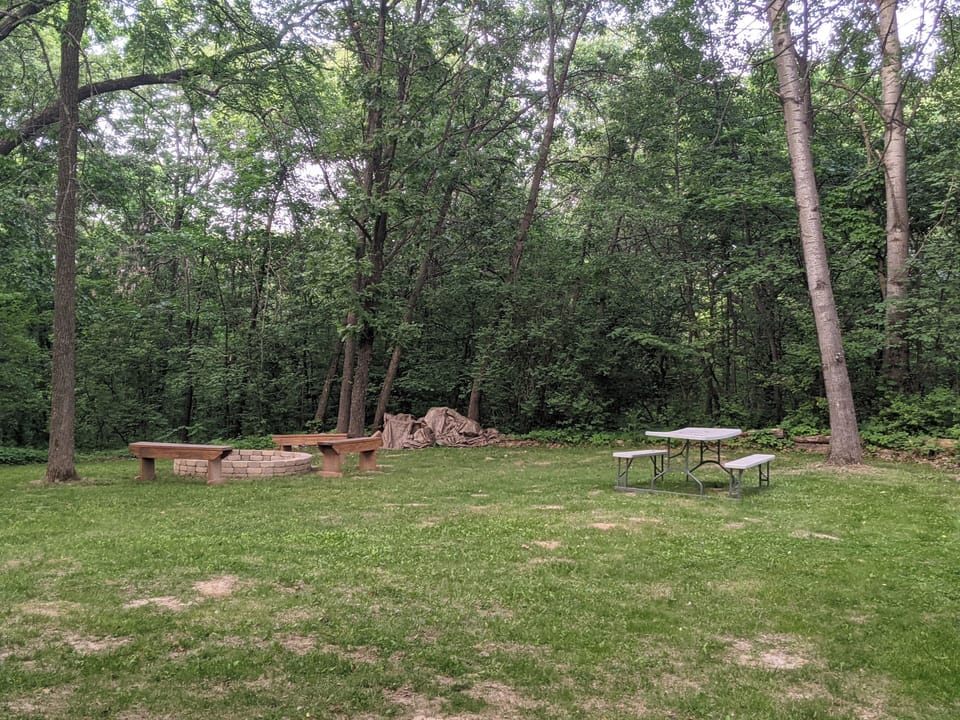 Back Yard: Fire Pit & Picnic Table