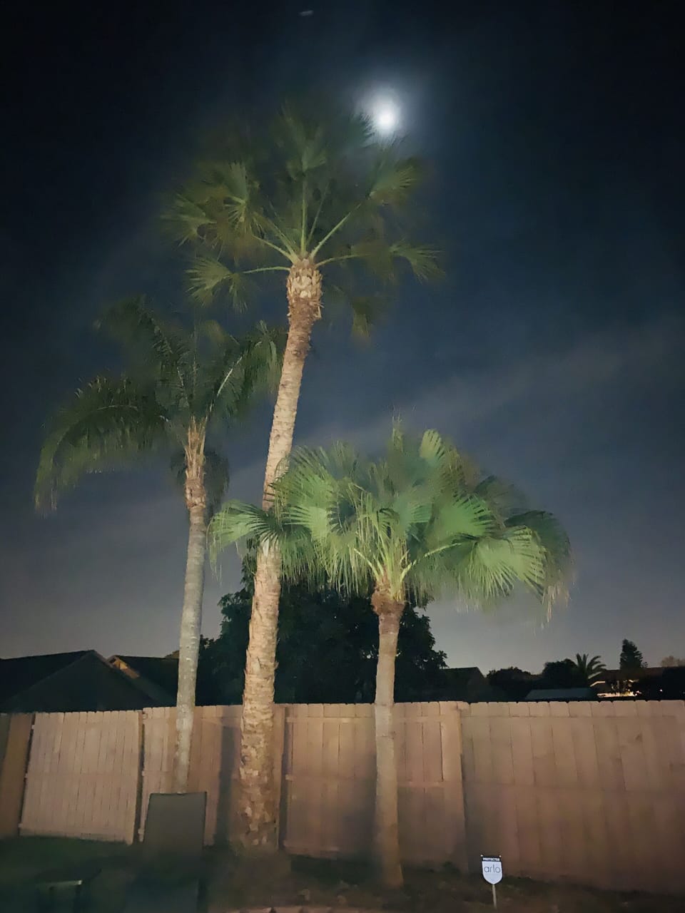 As long as the moon is out, this is your nightly view at OASIS PALM HEAVEN
