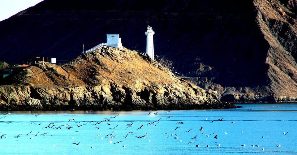 Enjoy the Sea of Cortez