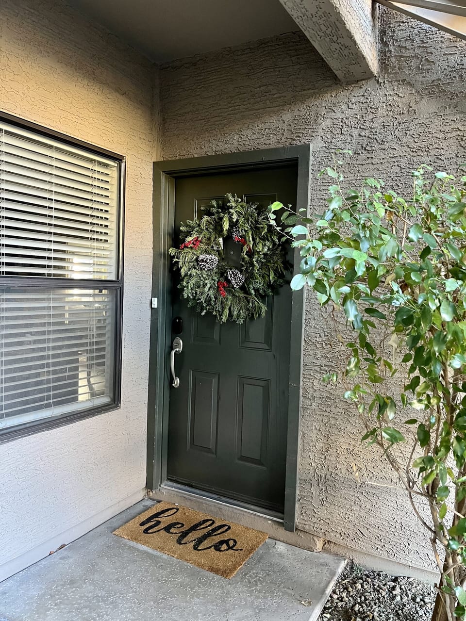 Front door view