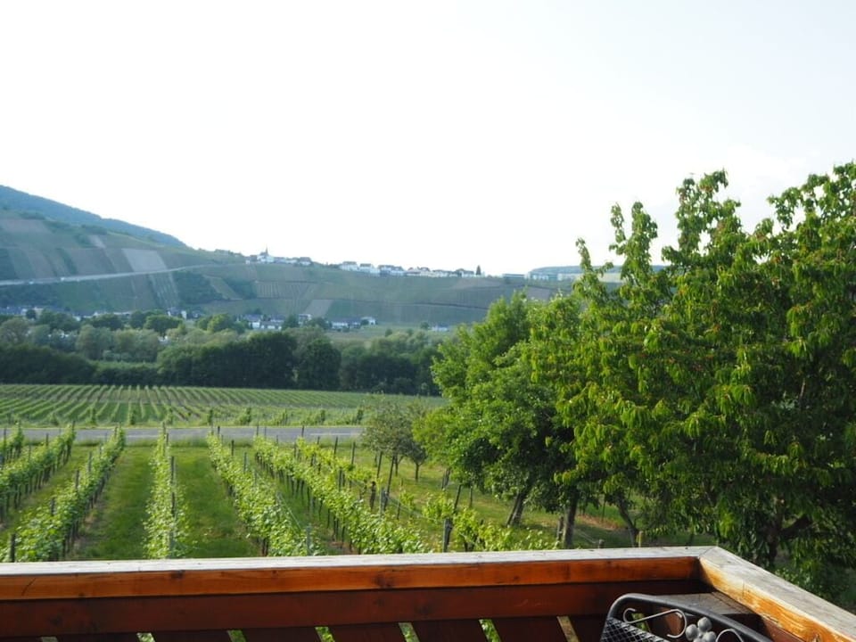 Apartment, Private Bathroom (FeWo mit Moselblick 1) | Balcony view