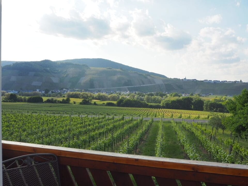 Apartment, Private Bathroom (FeWo mit Moselblick 1) | Balcony view