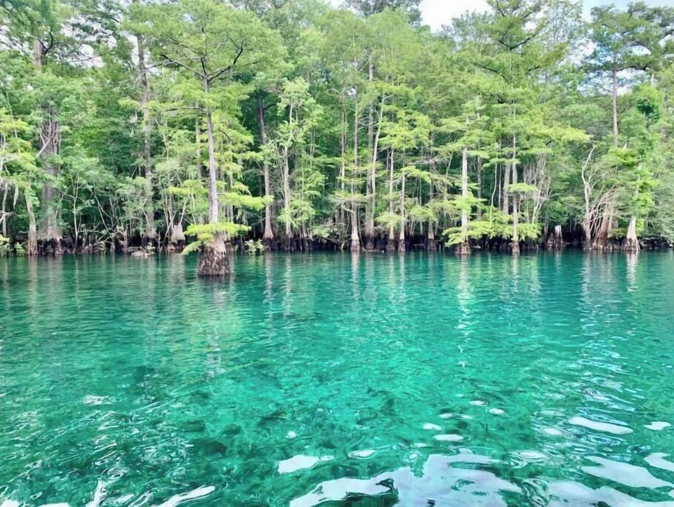 Morrison Springs... free and only @45 min. away for this unique excursion