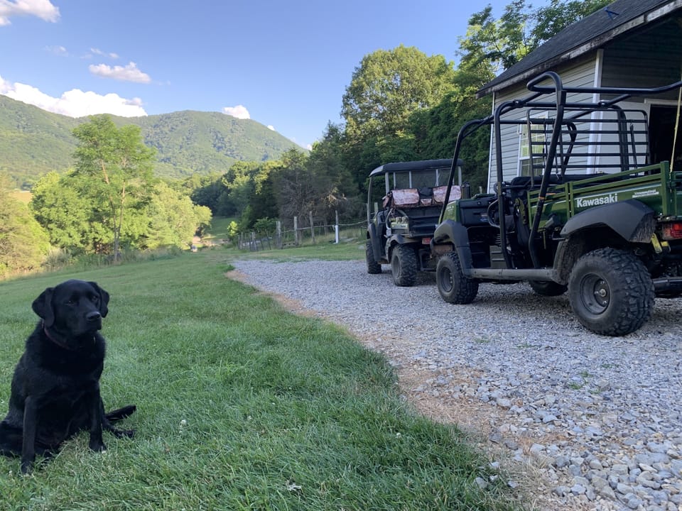 Dog Friendly Wandering Goat Lodge offers ATV rides