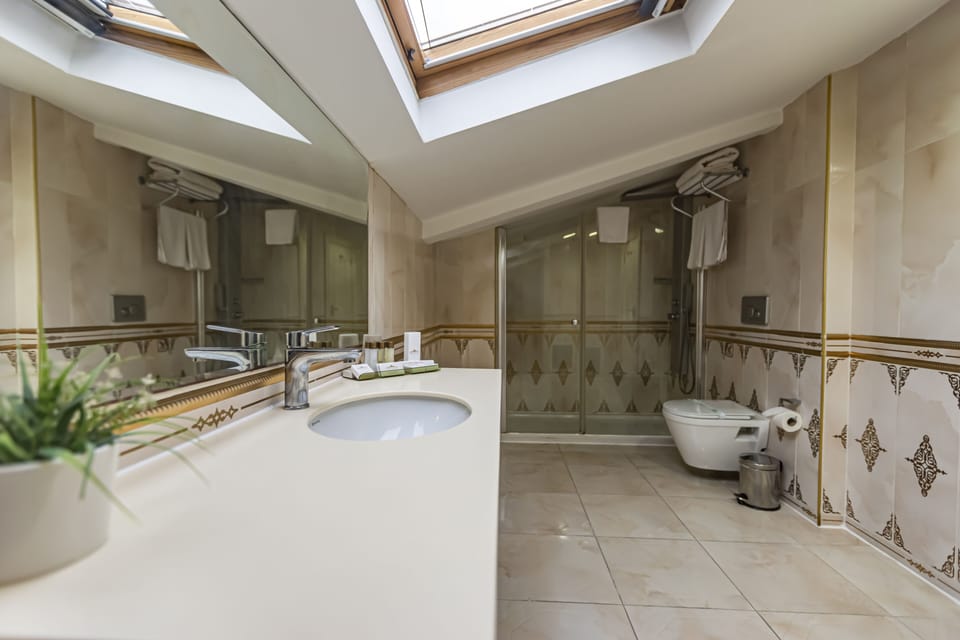 King Suite | Bathroom | Shower, free toiletries, hair dryer, bathrobes