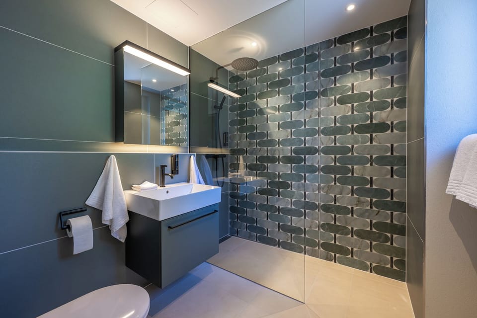 Shower, eco-friendly toiletries, hair dryer, towels