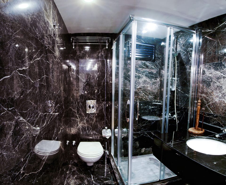 Suite | Bathroom | Shower, rainfall showerhead, free toiletries, hair dryer