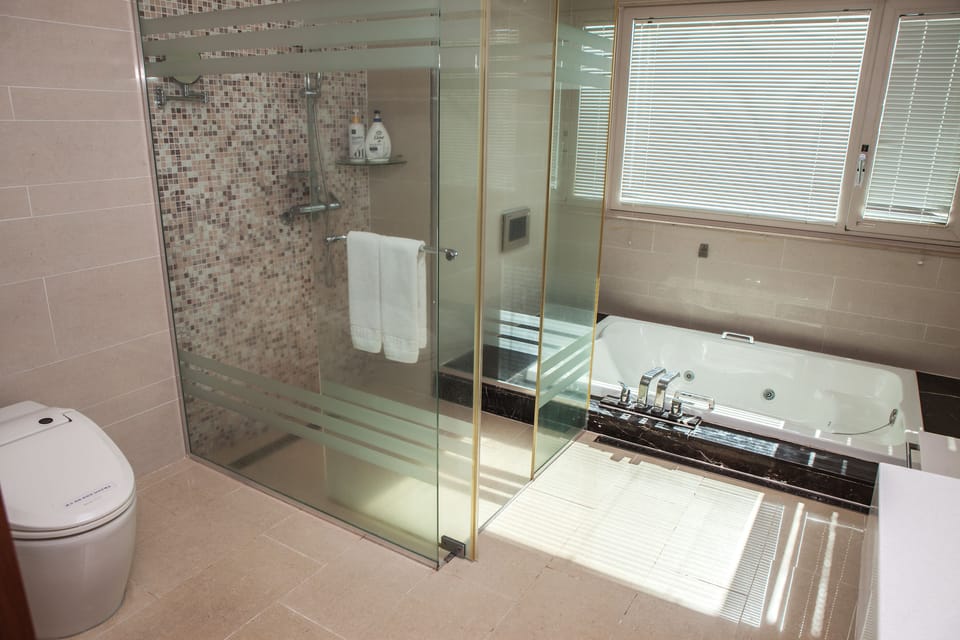 Hair dryer, slippers, bidet, towels