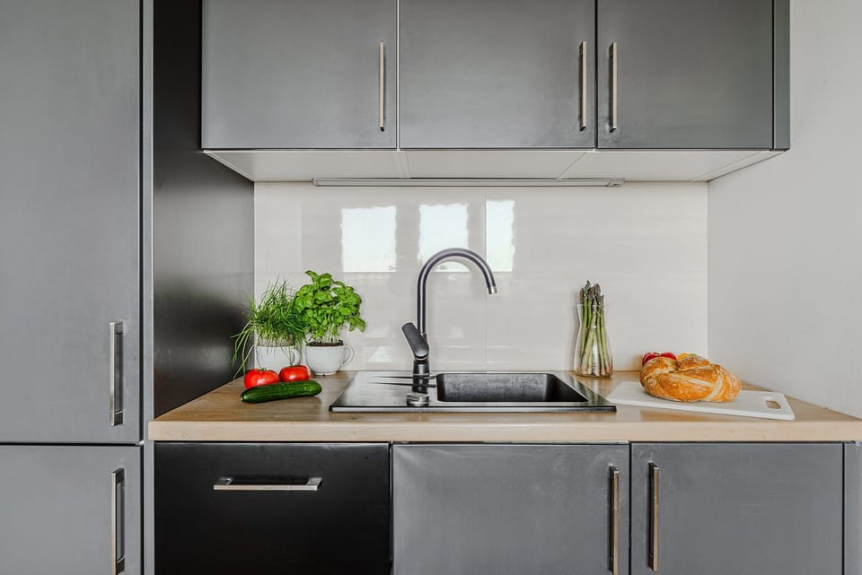 Deluxe Apartment | Private kitchenette | Oven, stovetop, dishwasher, electric kettle