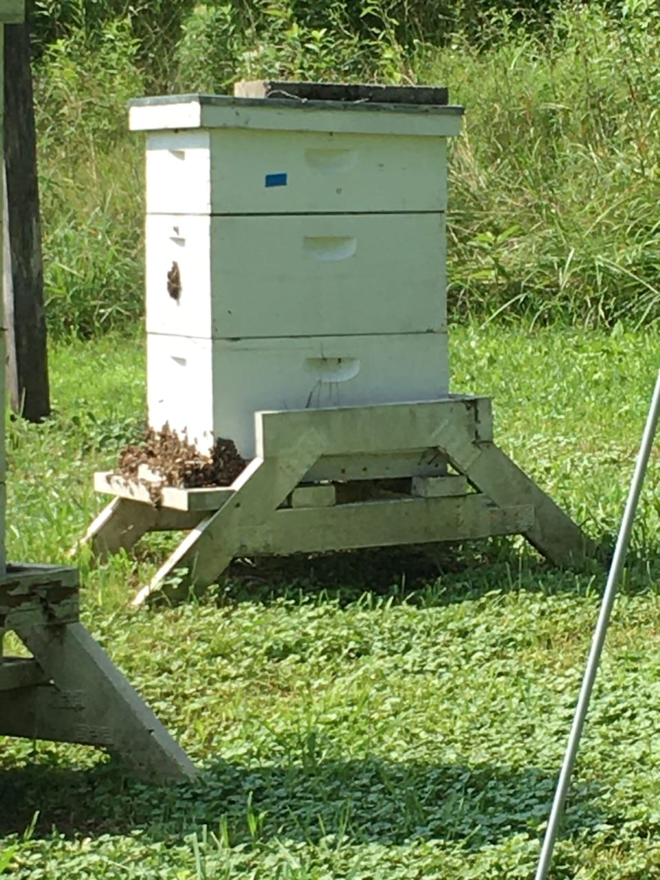 Purchase honey grown right at Norskedalen in our gift shop!