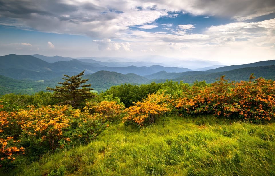 The Blue Ridge Mountains with spring blooms.