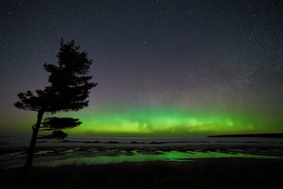 Aurora
