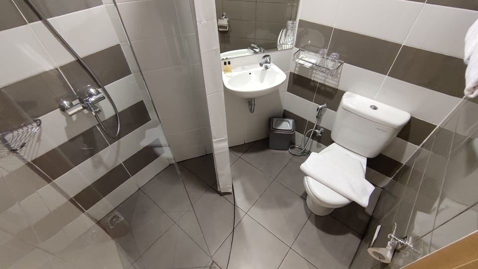 Deluxe Double Room | Bathroom | Shower, bidet, towels, soap
