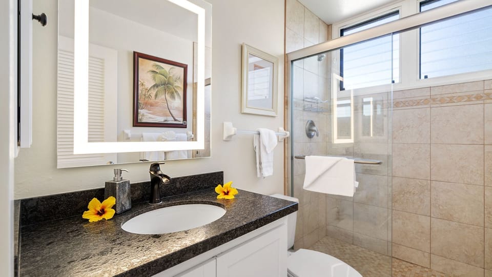 Guest bathroom with walk-in shower
