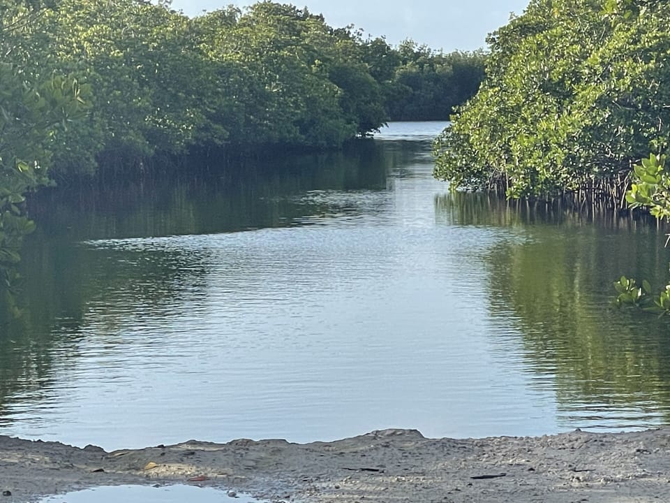 Neighborhood Natural ramp to launch kayaks or boat in high tide 