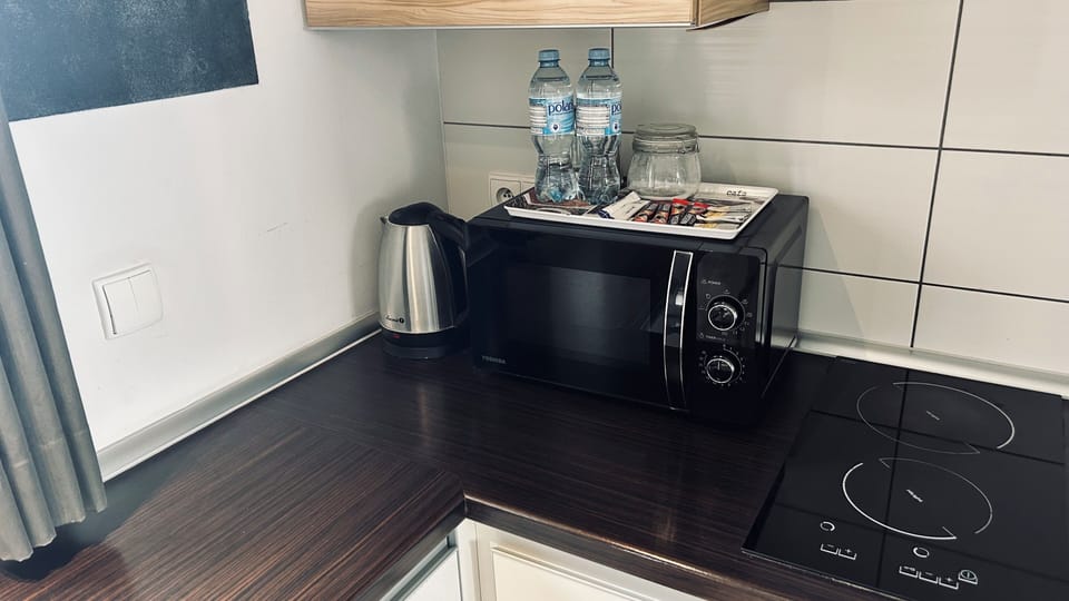 Economy Apartment, 1 Bedroom, City View | Private kitchen | Mini-fridge, microwave, oven, stovetop