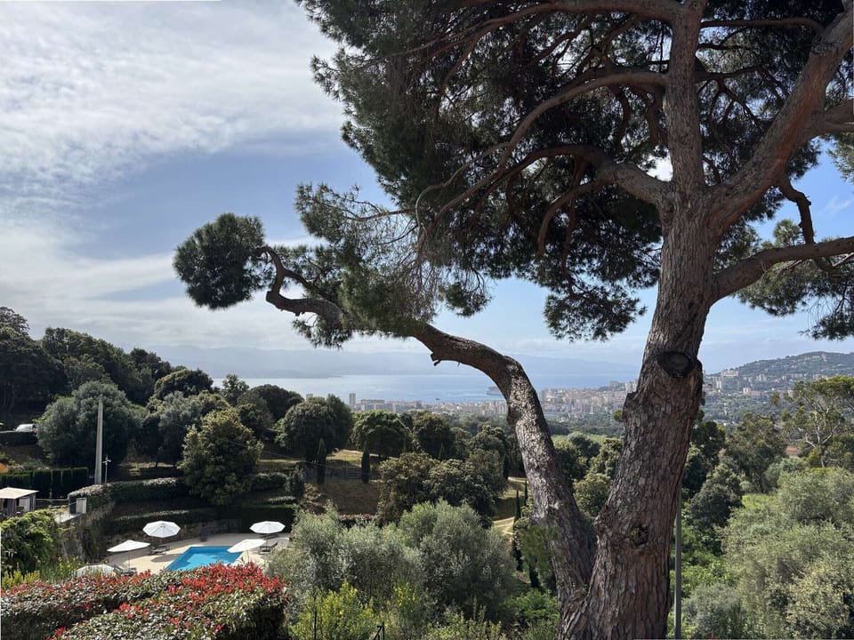 View from property