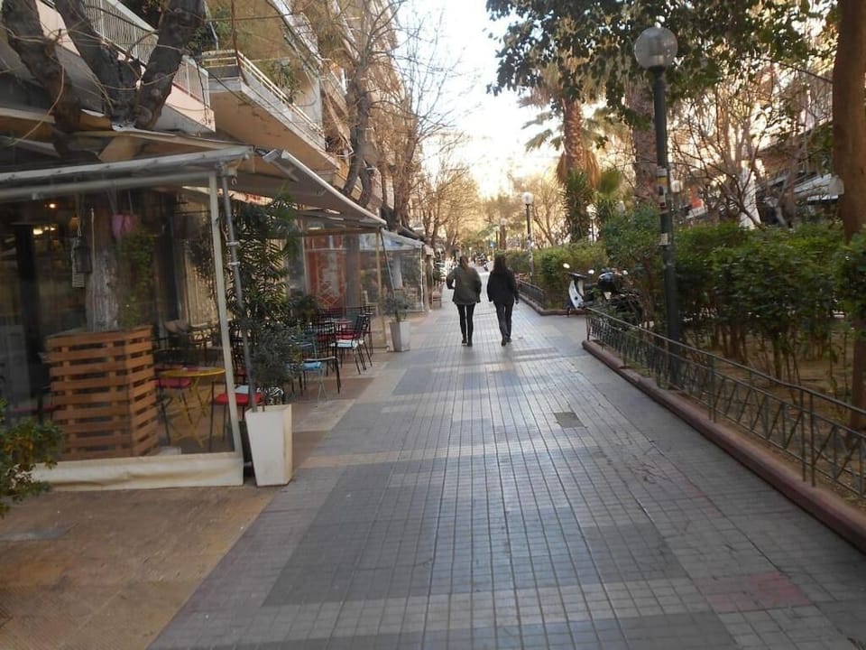 The neighborhood