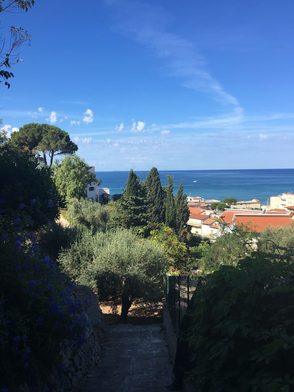 Beach/ocean view
