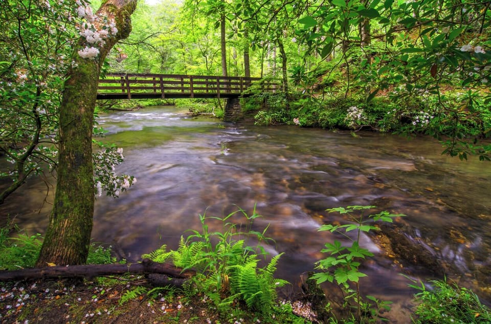 Take in one of the amazing hikes along the river