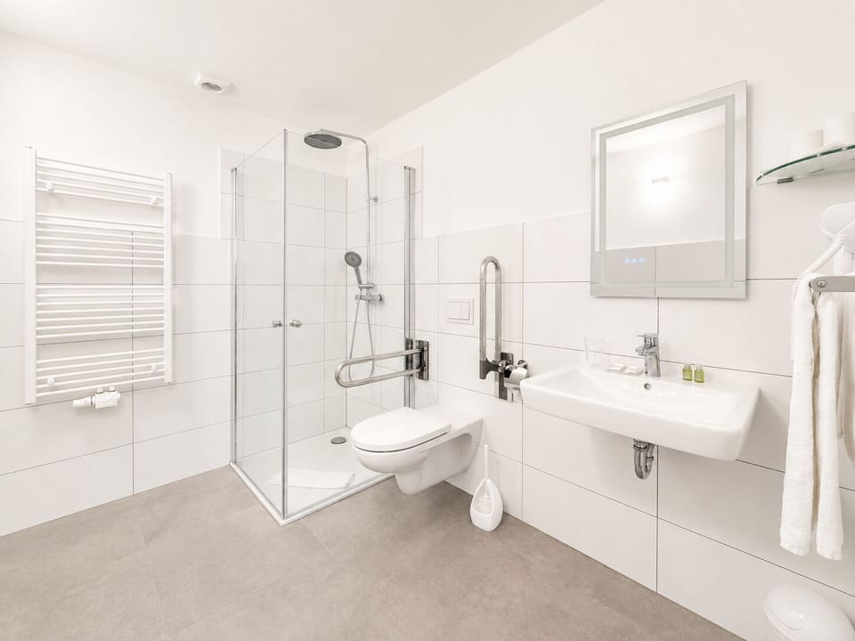 Business Double or Twin Room | Bathroom | Shower, free toiletries, hair dryer, slippers