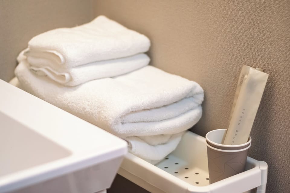 Double Room 104 | Bathroom | Shower, free toiletries, hair dryer, slippers