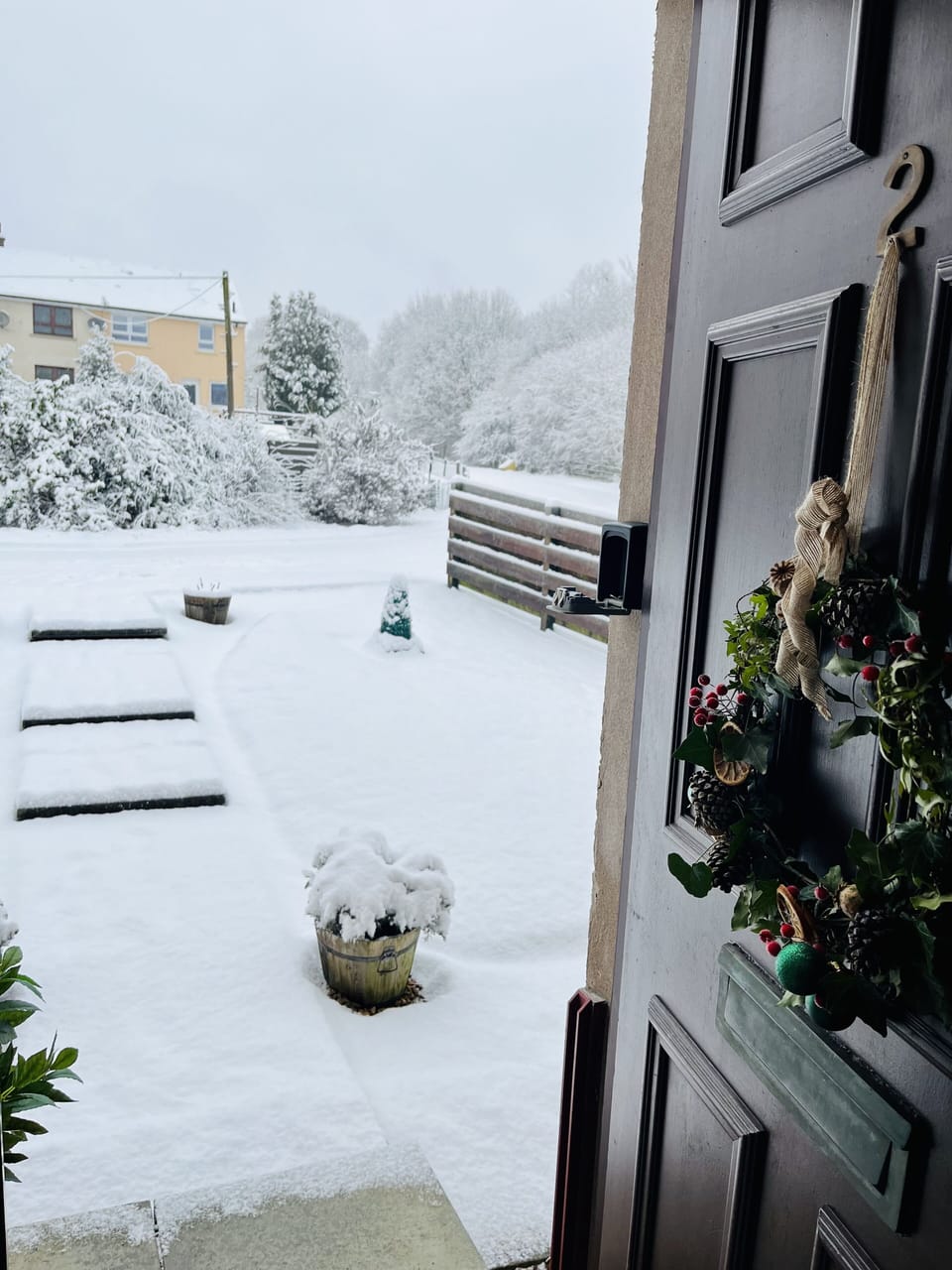 Front garden