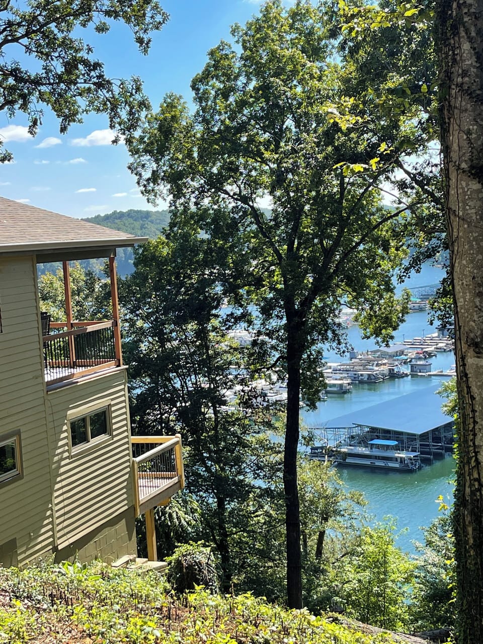 View from property