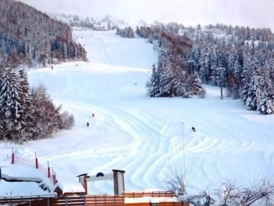 Snow and ski sports