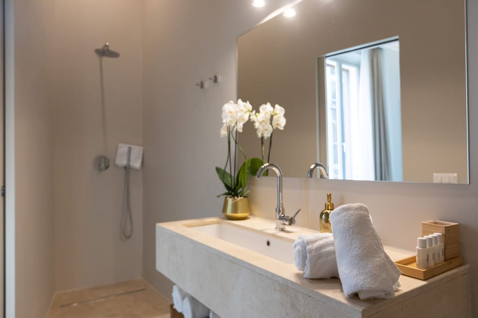 Deluxe Room, City View | Bathroom | Shower, rainfall showerhead, designer toiletries, hair dryer