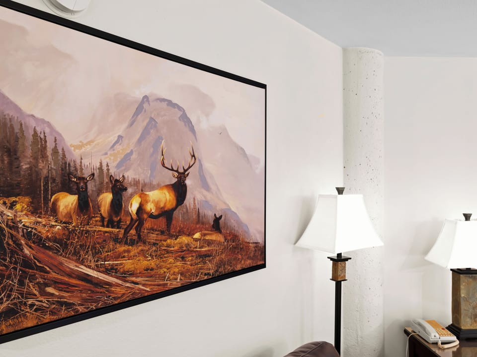 Living Area Decor