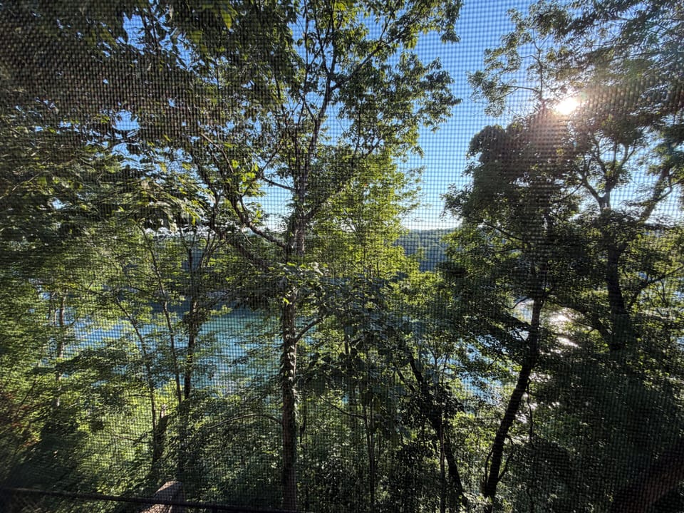 View from property