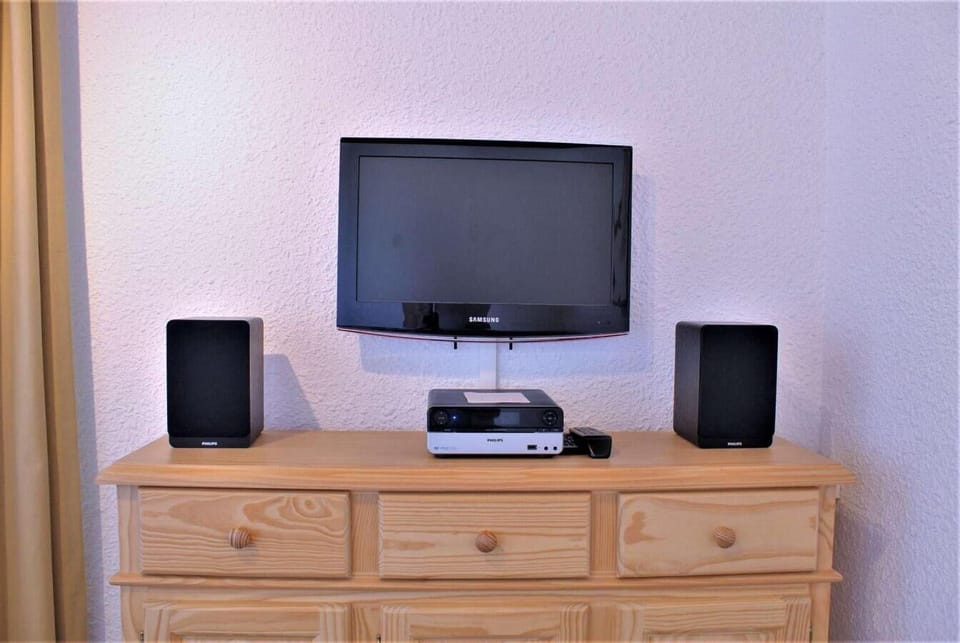 Television