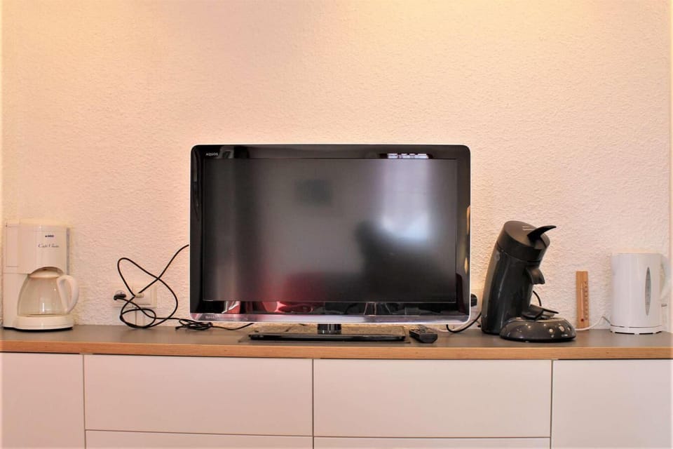 Television