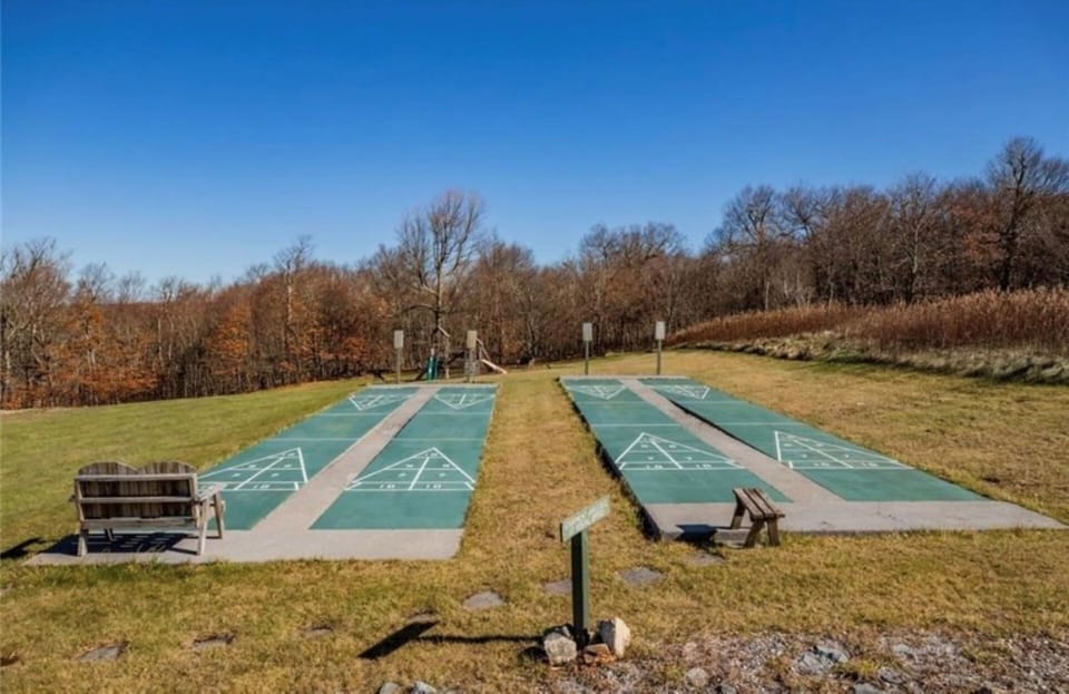 Shuffleboard
