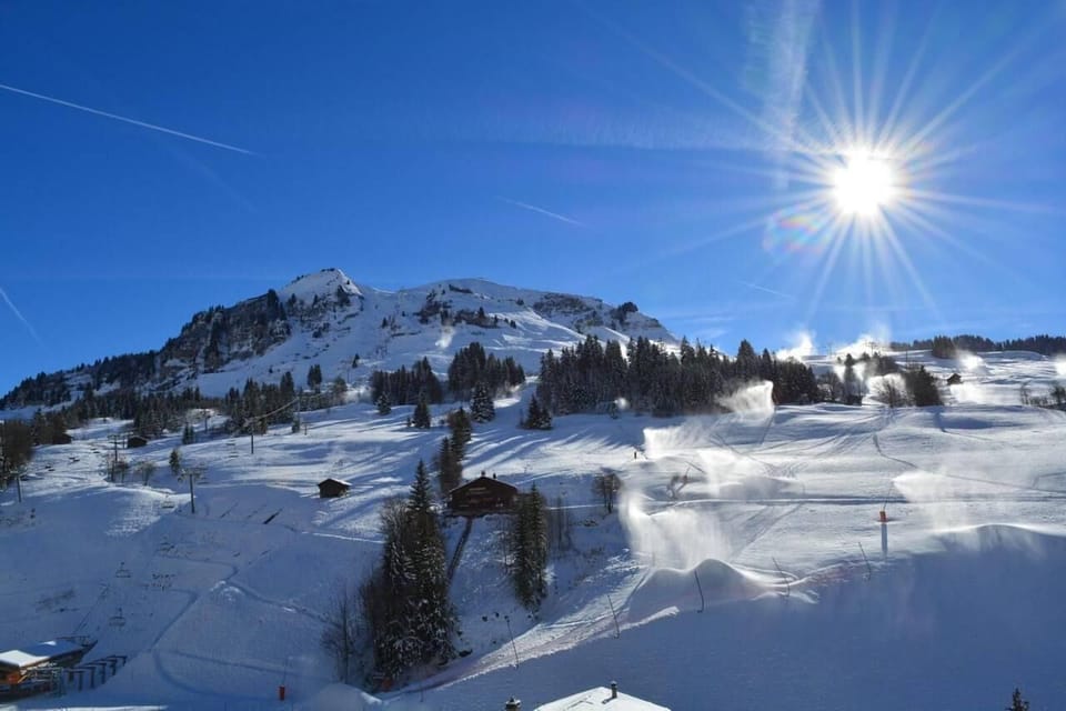 Snow and ski sports