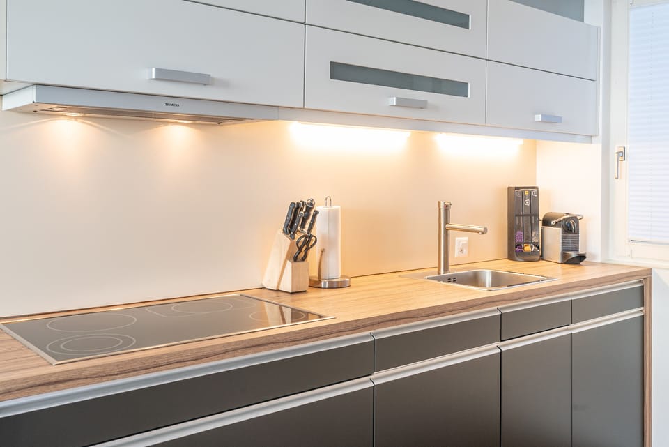 Full-size fridge, oven, stovetop, dishwasher
