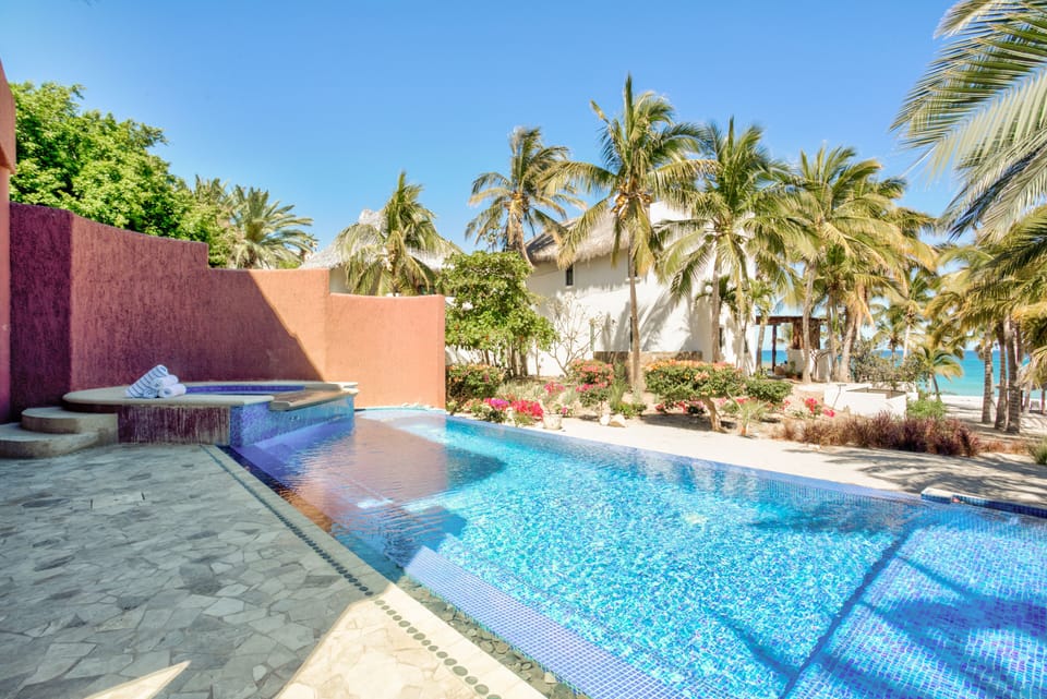 Private pool and jacuzzi