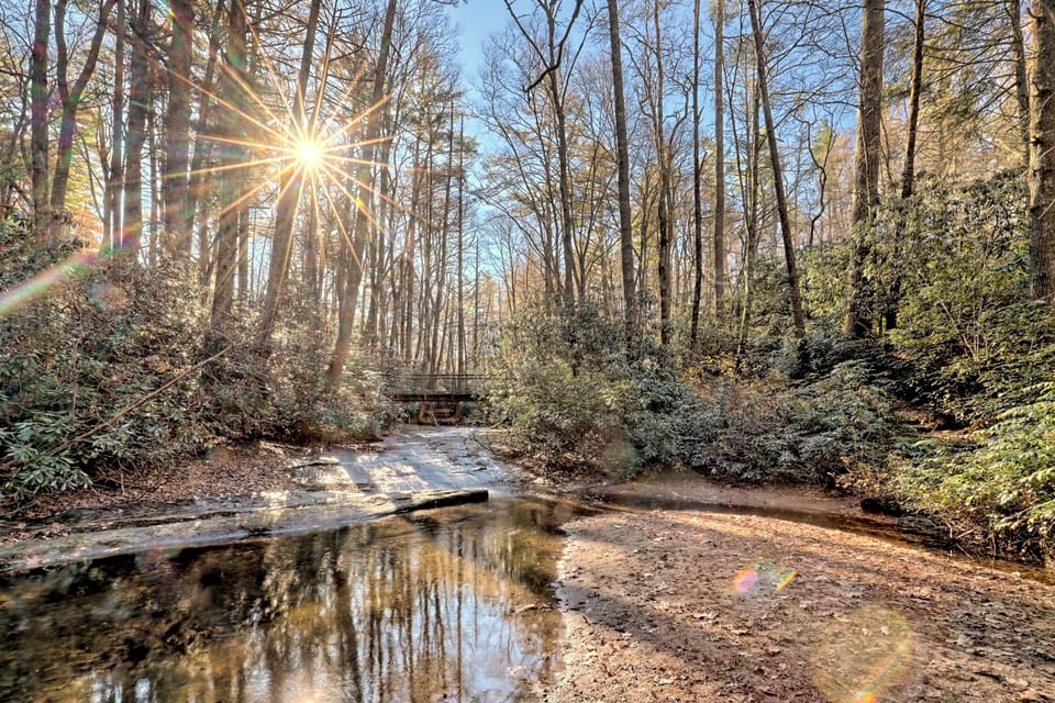Short easy nature trail to town
