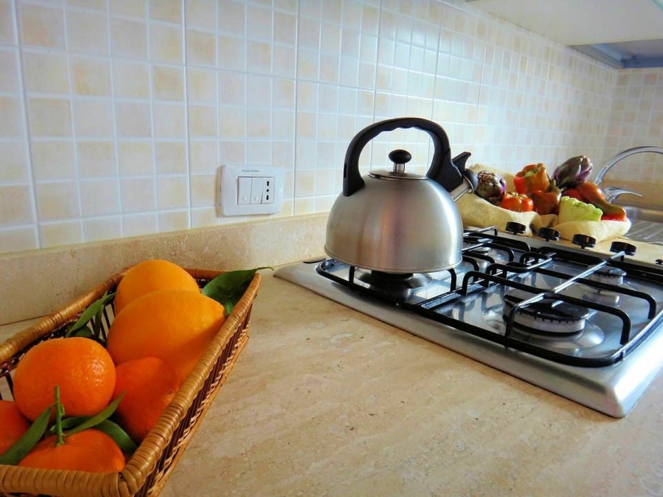 Food, Countertop, Kitchen Appliance, Gas Stove, Tableware