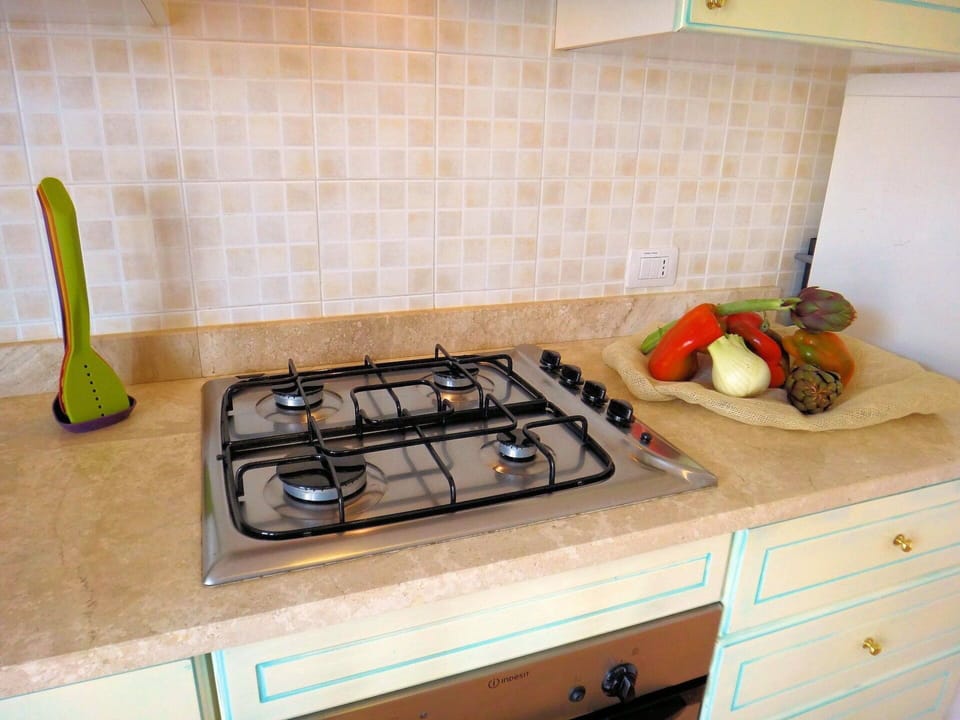 Countertop, Cabinetry, Property, Gas Stove, Kitchen Appliance, Cooktop, Kitchen Stove, Kitchen, Wood, Floor